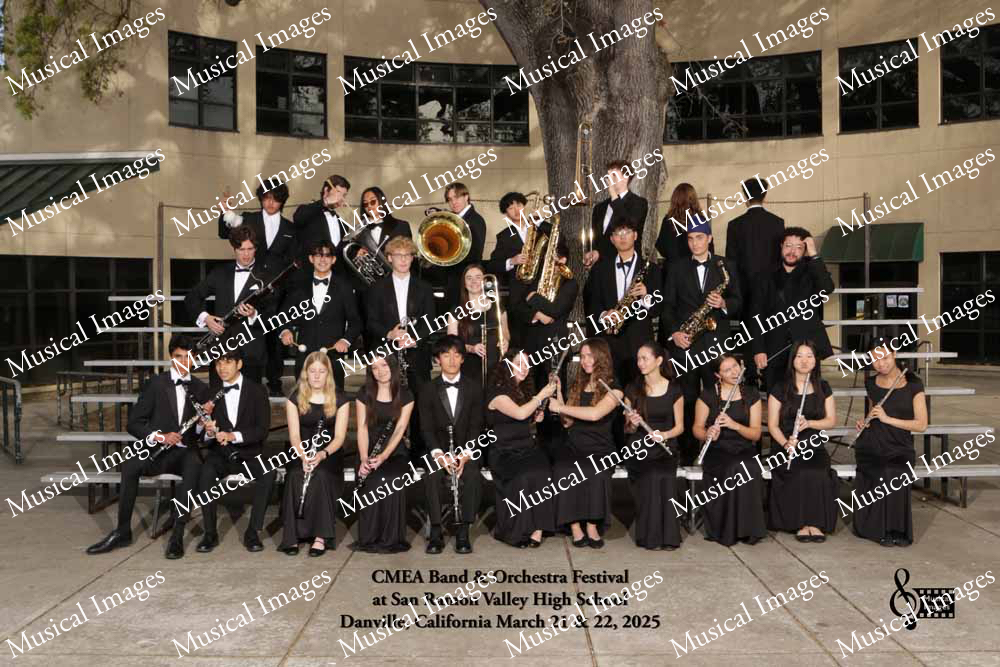 Musical Images